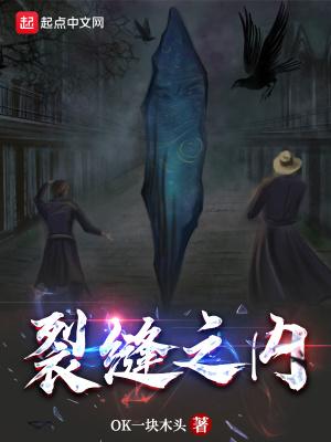 裂缝31