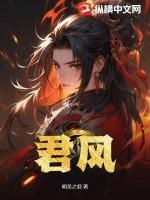 君风笑传 电视剧