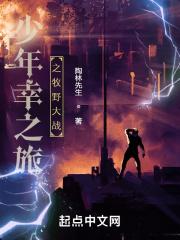 少年幸之旅一牧野大战 陶林先生