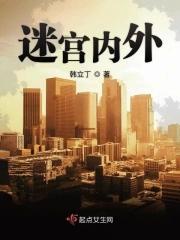 迷宫内外 韩立丁