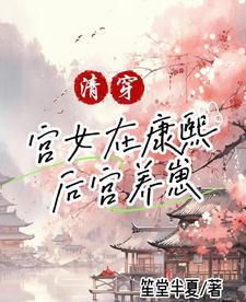 清穿之康熙的小妾