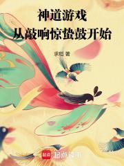 神道游戏礼包兑换码是多少