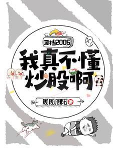 回档2004
