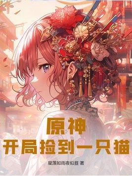 神级契约开局一只猫无修版