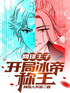 网王之冰帝为王 作者 高级小兵