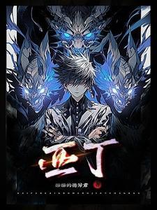 秩序之光原名