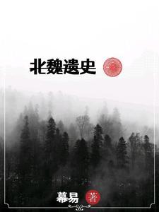 北魏墓葬分布