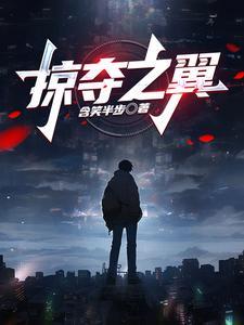 掠夺之书