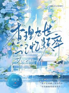 查理九世讲