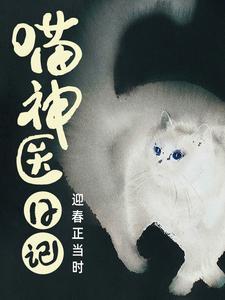 乡村小神医奋斗日记