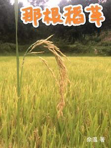 一根稻草引发的思考