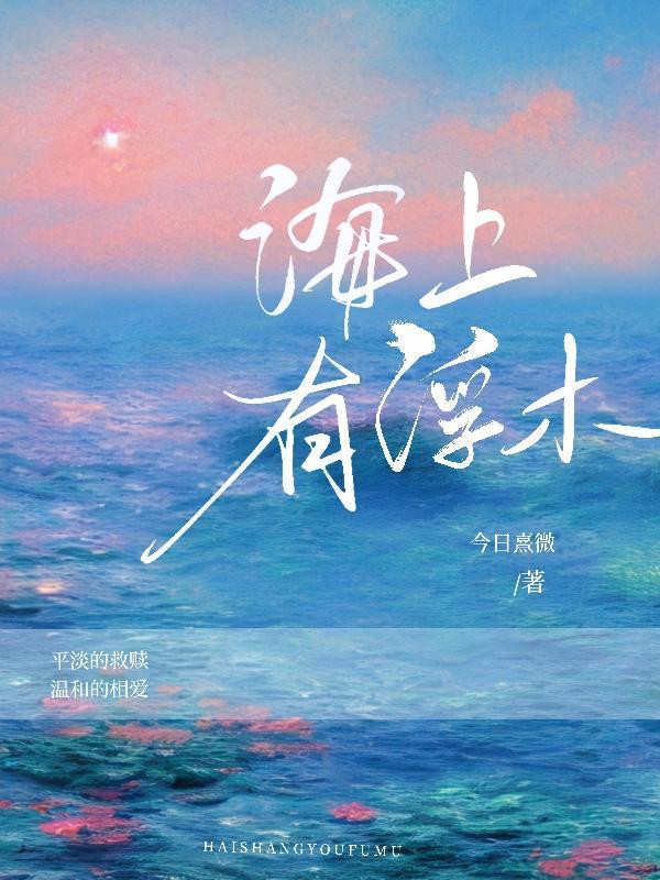 海上浮岛是什么