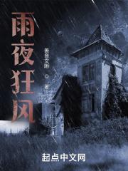 雨夜狂风原唱