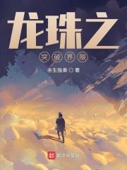 龙珠突破极限游戏