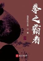 拳之霸者妖魔境界