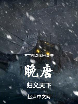 归义大唐顶点