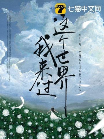 这个世界我来过歌词完整版