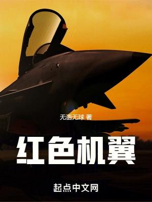 红色机翼空中王牌