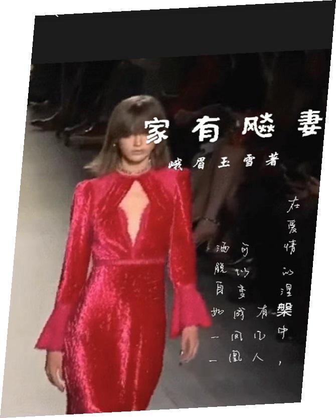 电视剧家有娇妻