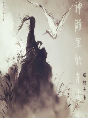 神雕里的东丈 笔趣阁
