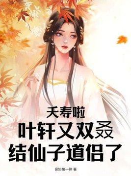 有一个叫叶轩的都市修真