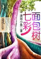 七彩面条图片