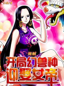 海贼之从顶上战争开始