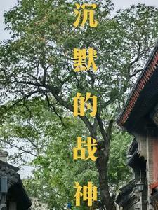 沉默的大神