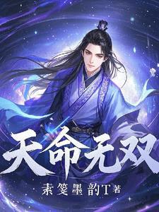 天命无双游戏