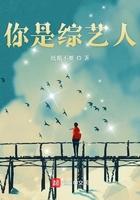综艺人什么意思