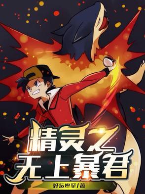 神奇宝贝之暴