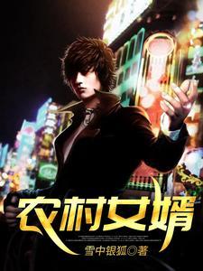 农村女婿回家