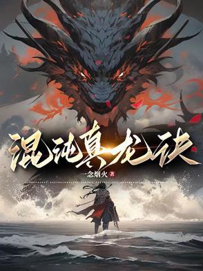 混沌真龙诀境界