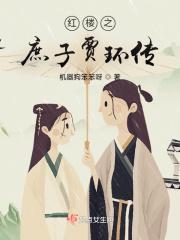 红楼之贾家庶子
