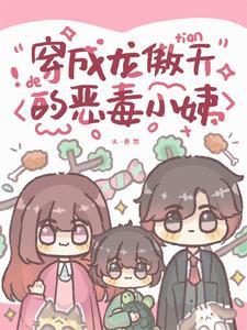 龙傲天的设定
