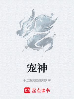 宠神 十二翼暗炽天使
