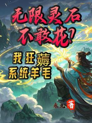 玄幻无限灵石