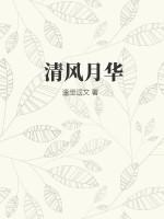 清风月华电视剧