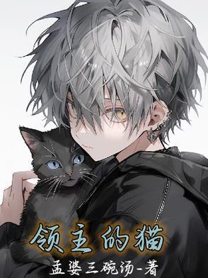 领主攻略