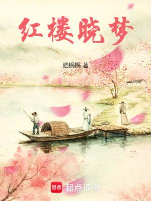 红楼梦小戏骨版全集