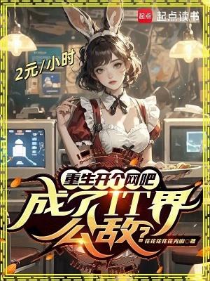 重生大学生开网吧创业的