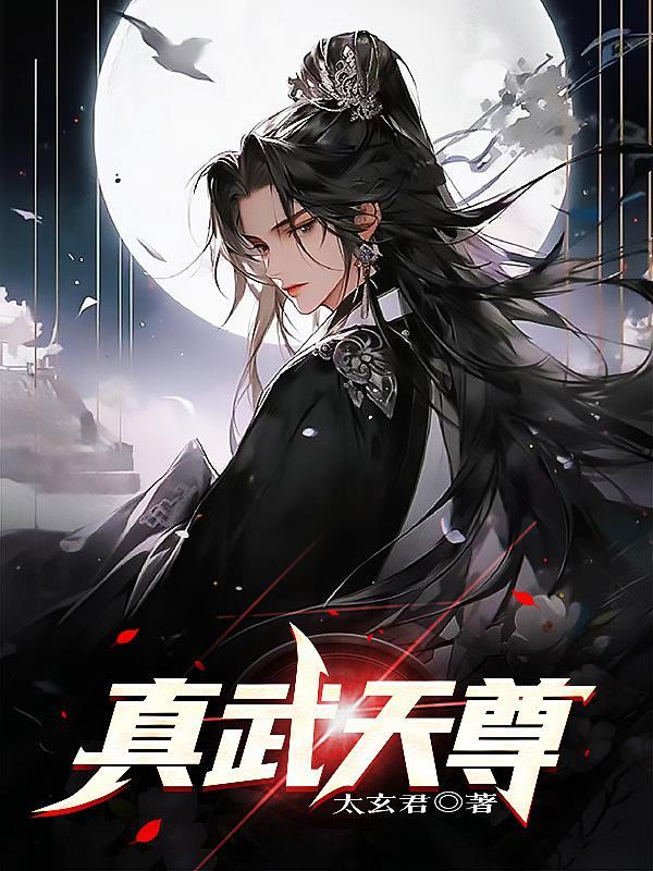 真武境天武境