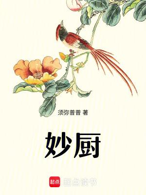 妙厨须弥普普最新章节免费阅读