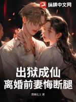 总裁出狱前妻