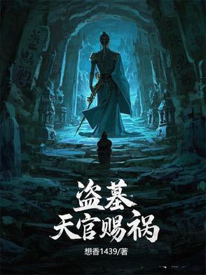 天官赐福穿越盗墓