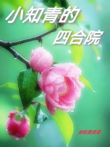 小知青的四合院免费阅读