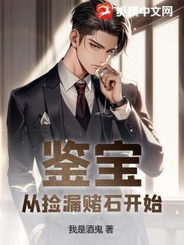 鉴宝 捡漏王