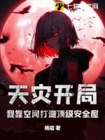 天灾空间文