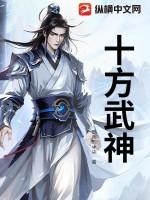 十方武圣解析