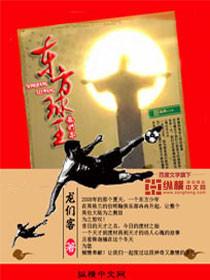 东方球王电视剧全集免费观看